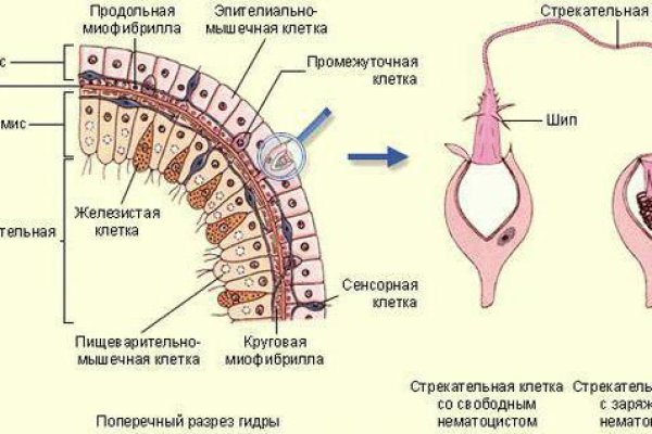 Кракен ориг ссылка