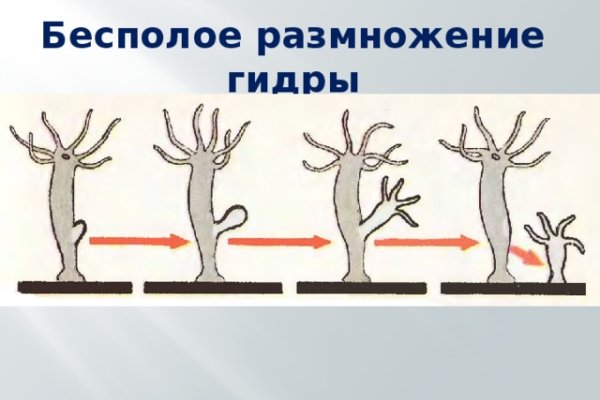 Кракен современный даркнет маркетплейс