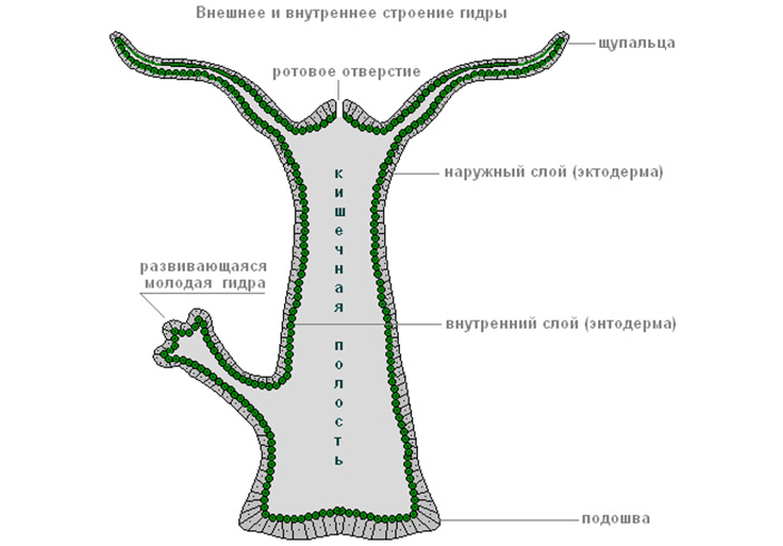 Кракен актуальная ссылка на сегодня