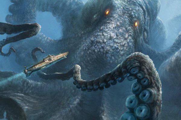 Kraken kraken link24 info