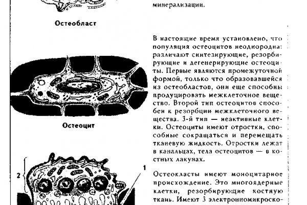 Даркнет кракен отзывы о платформе