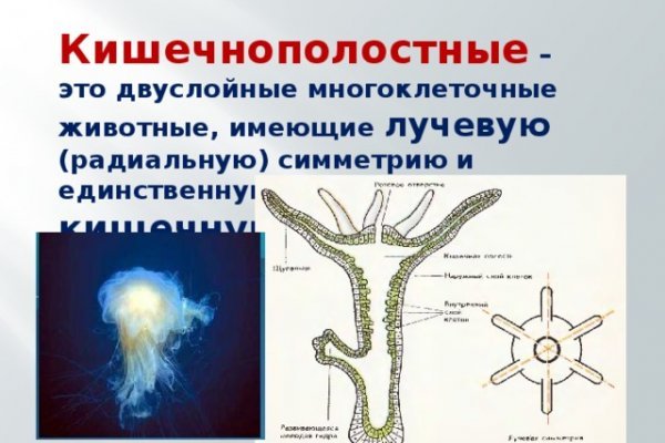 Кракен наркотики в оренбурге