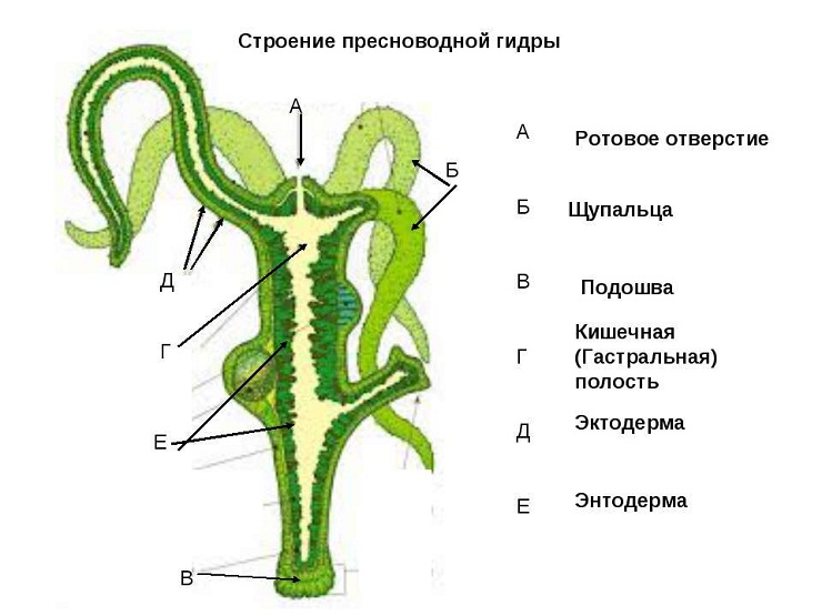 Кракен вход официальный сайт